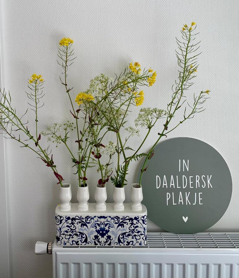 Daalders Plakkie Βίλα Elahuizen Εξωτερικό φωτογραφία